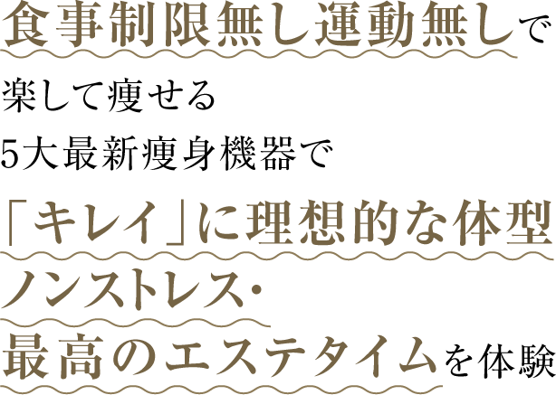 食事制限無し運動無しで
            楽して痩せる