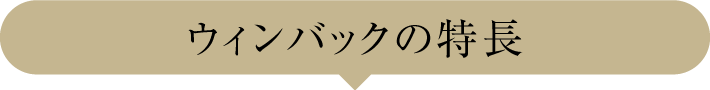 ヴィンバックの特長